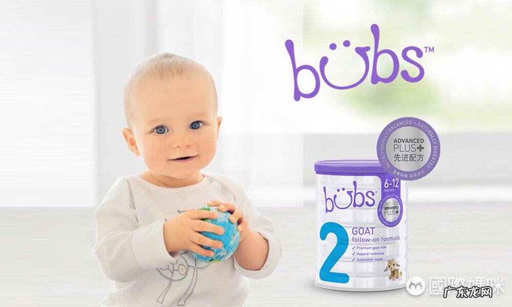 瑞康羊奶价格表 可瑞康羊奶粉价格表