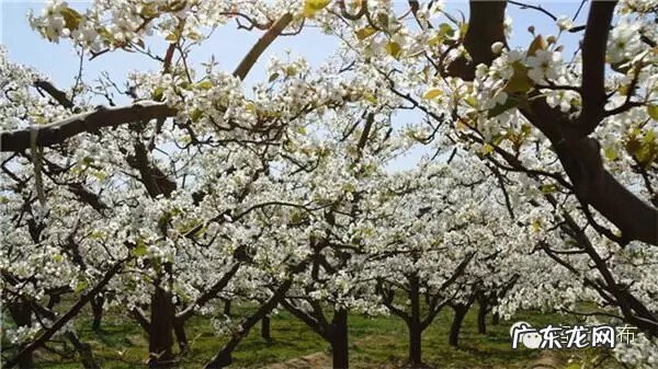 宿迁楚风水韵 宿迁楚风水韵可好玩