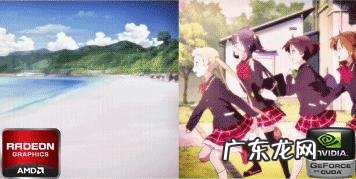 如何区分n卡和a卡 怎么分别a卡和n卡