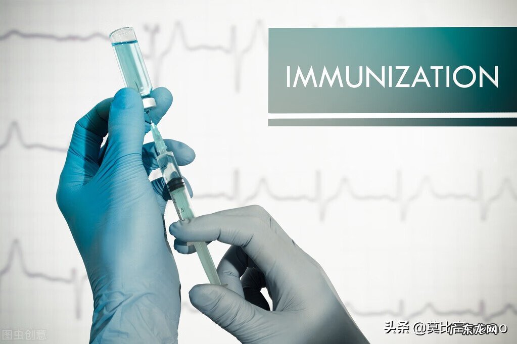 细胞疗法 体细胞免疫疗法