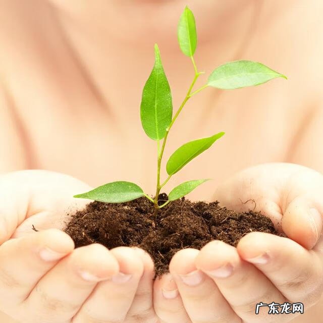 一个让我快乐的人作文600字 一个快乐的人