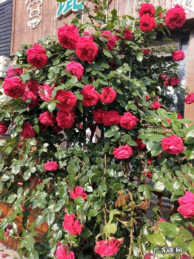 同义句转换的方法 同义句转换怎么做