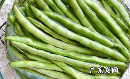 四季豆轻微中毒的症状和处理方式 四季豆轻度中毒症状