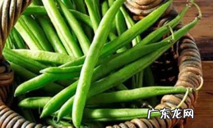 四季豆轻微中毒的症状和处理方式 四季豆轻度中毒症状