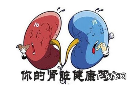 急性肾衰竭能活多久