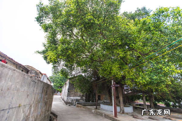 高州风水 高要风水名山