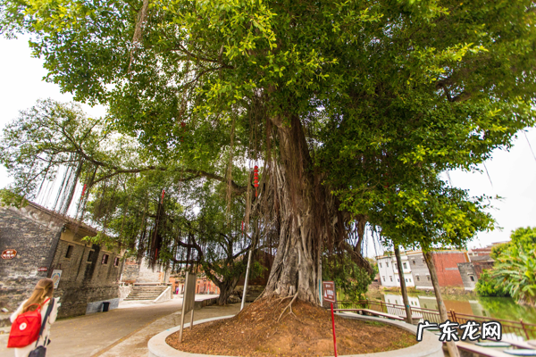 高州风水 高要风水名山