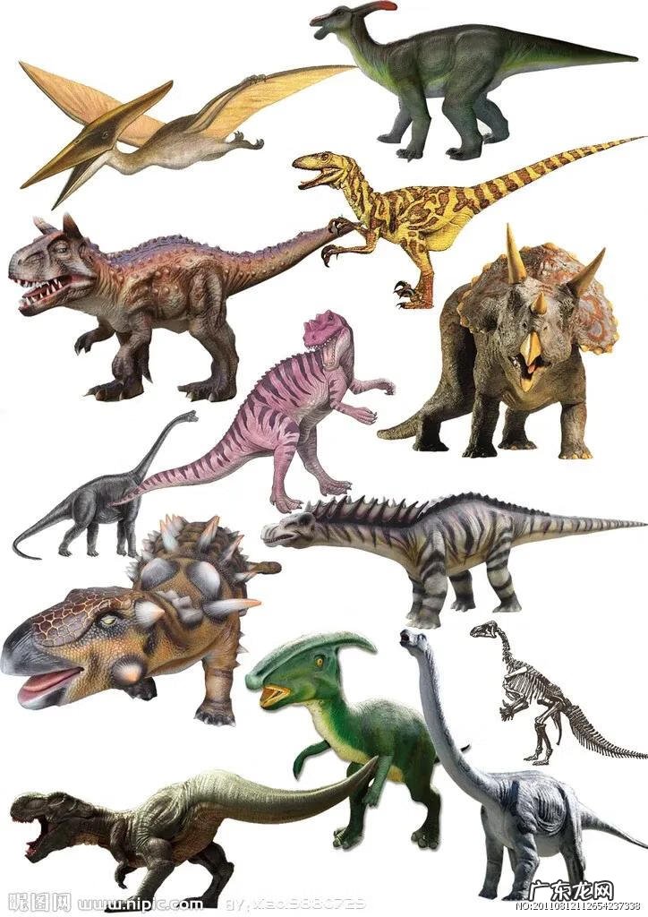 侏罗纪有哪些恐龙 恐龙世纪分为哪几世纪