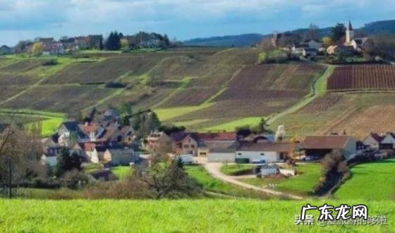 红酒都有什么牌子的 你不知道的世界十大红酒名字