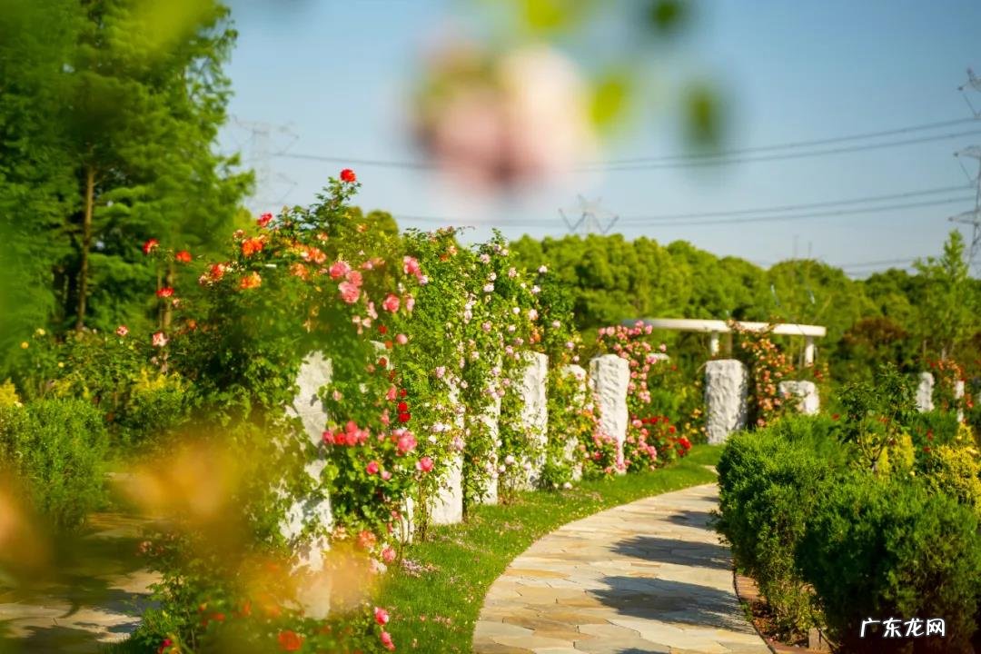 九华山风水宝地