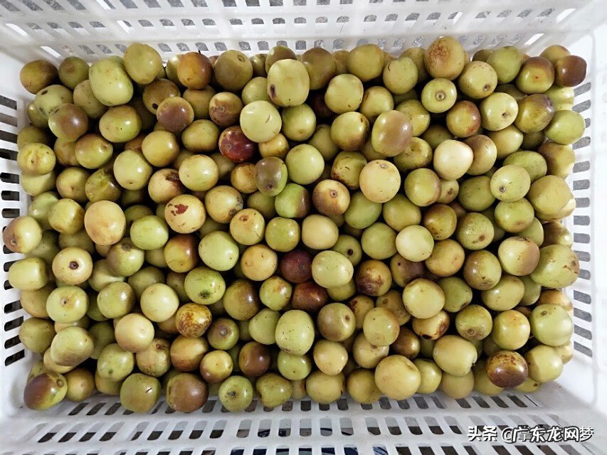 湖北云梦莲花坞 湖北云梦特产