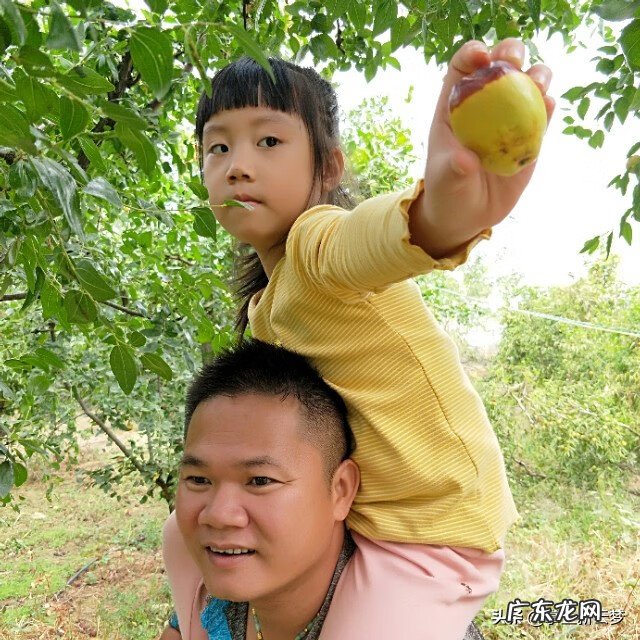 湖北云梦莲花坞 湖北云梦特产