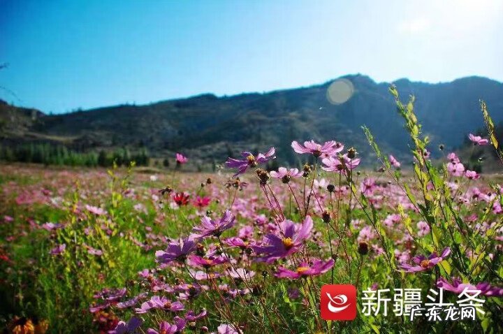 可可托海怎么样 可可托海有海?