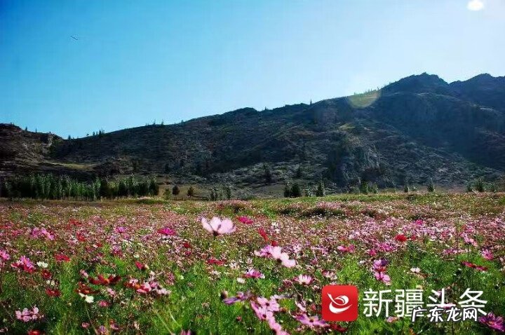 可可托海怎么样 可可托海有海?