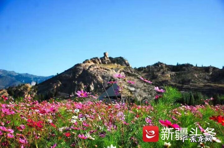 可可托海怎么样 可可托海有海?