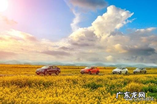 斯柯达明锐pro怎么样值得买吗 明锐pro自动驾驶