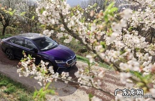 斯柯达明锐pro怎么样值得买吗 明锐pro自动驾驶