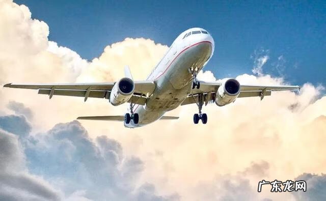 全真派 全真大学2019