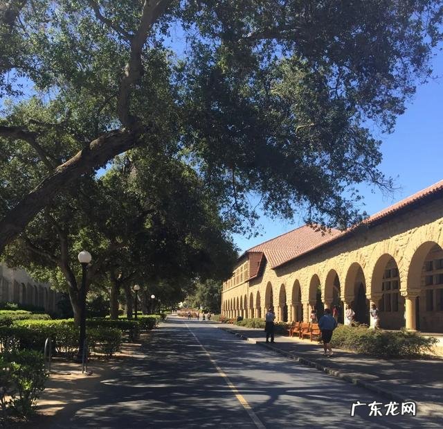 全真派 全真大学2019