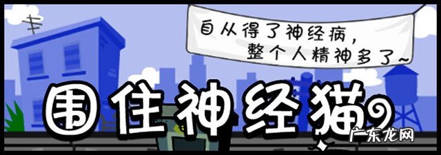 围住神经猫个人总结 围住神经猫在哪里玩