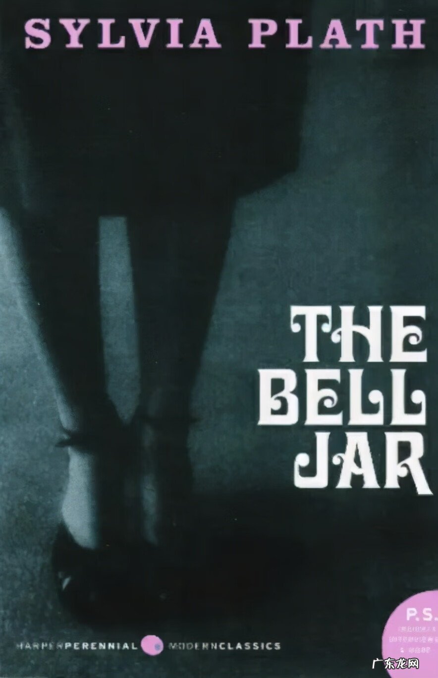 阿米莉亚女飞行员 阿米莉亚的作者是谁