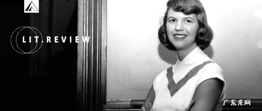 阿米莉亚女飞行员 阿米莉亚的作者是谁