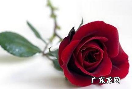 男生什么情况下会送女生礼物 男生什么情况下会送女生礼物给她