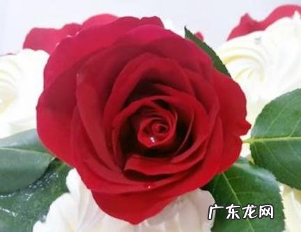 男生什么情况下会送女生礼物 男生什么情况下会送女生礼物给她