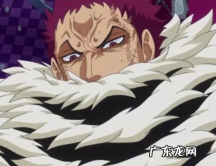 射手男开始喜欢你的表现 射手男喜欢上你的表现