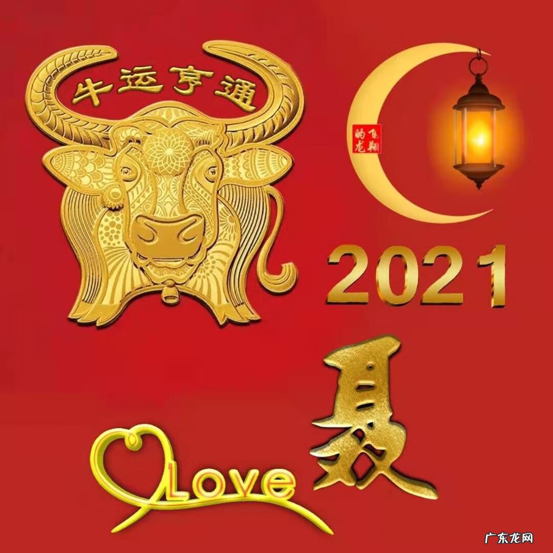 风水牛图片 属牛风水头像图