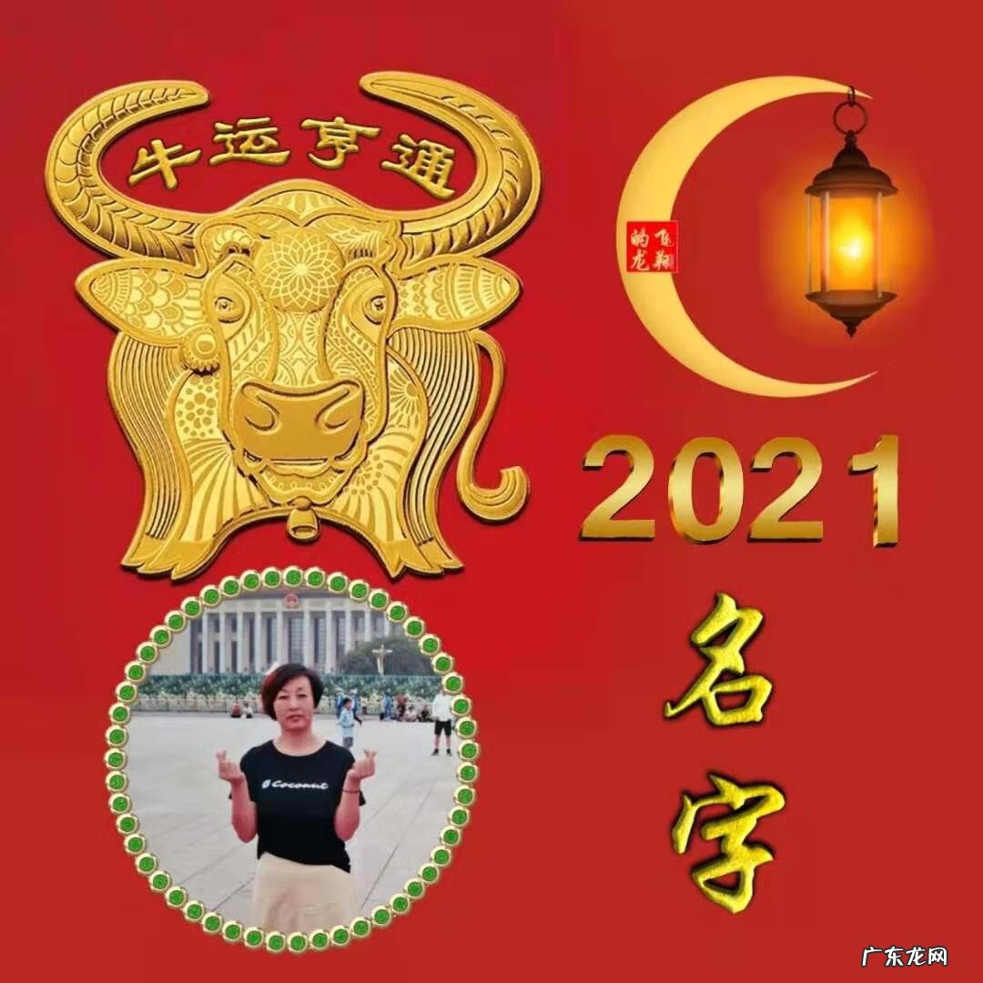 风水牛图片 属牛风水头像图