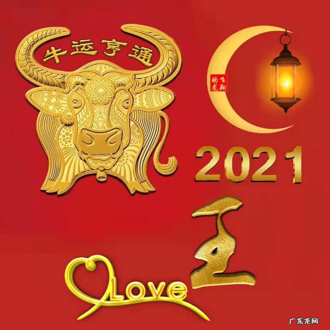 风水牛图片 属牛风水头像图