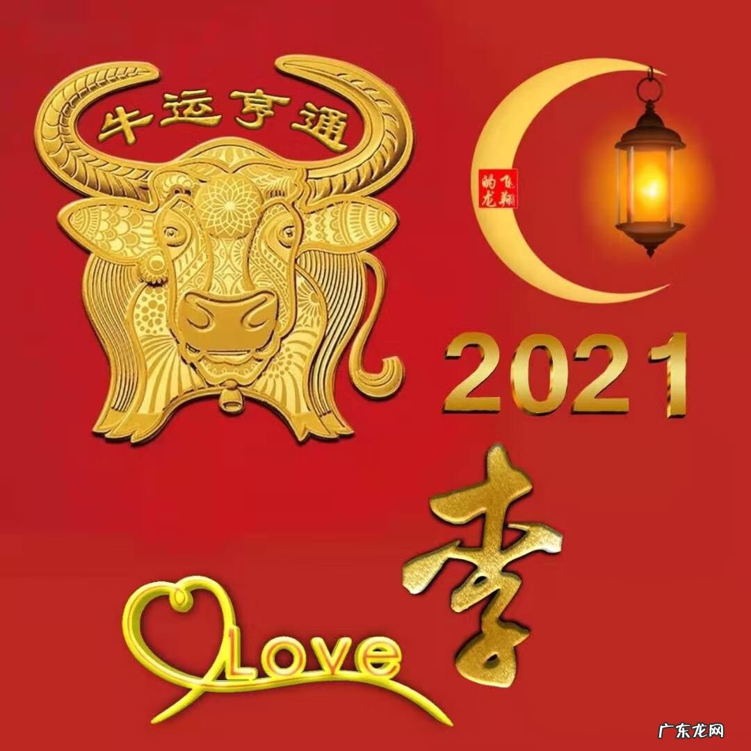 风水牛图片 属牛风水头像图