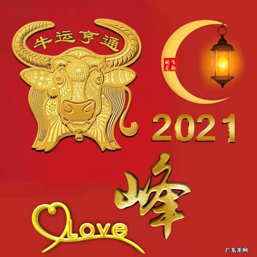 风水牛图片 属牛风水头像图