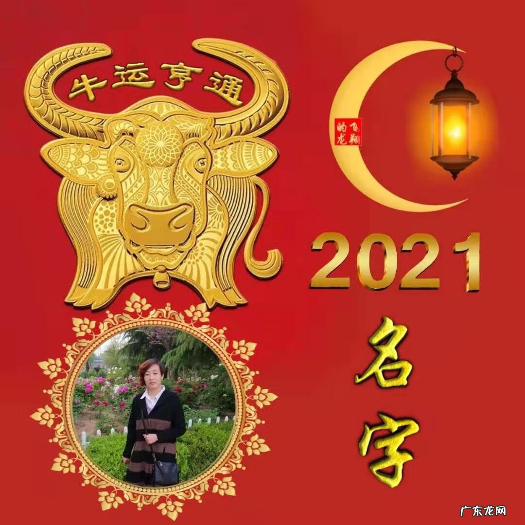 风水牛图片 属牛风水头像图