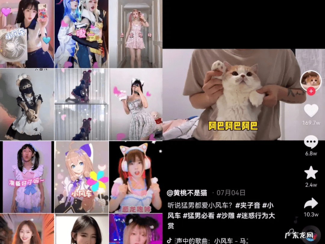 夹来夹去什么梗 夹到底是什么梗