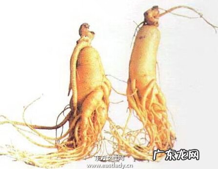 吃人参有什么好处 人参功效和作用是什么