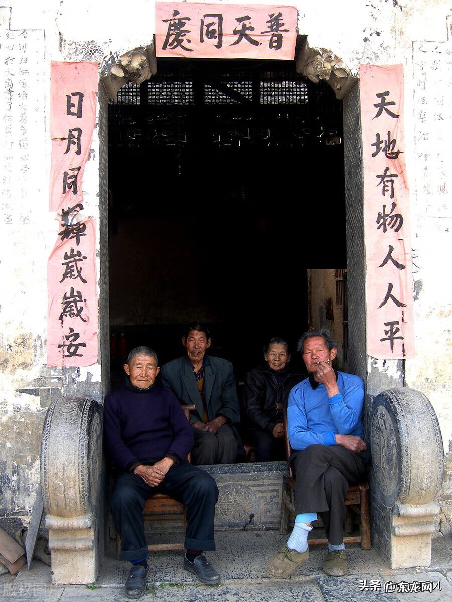 院子大门旁边种树的风水