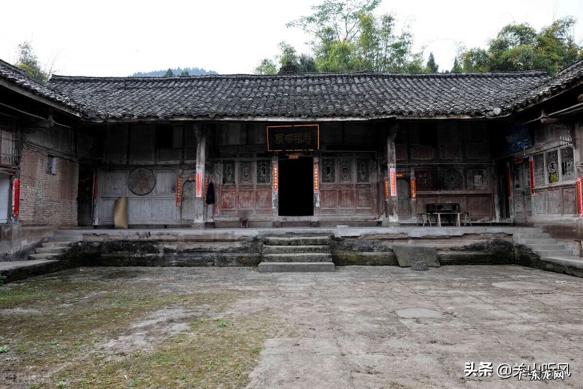 院子大门旁边种树的风水