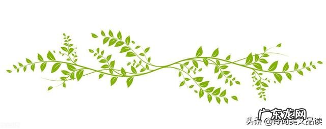 形容美女的别称 形容美女的雅称