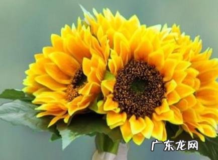 手捧花可以送给已婚的人吗 手捧花可以送给已婚的人吗男