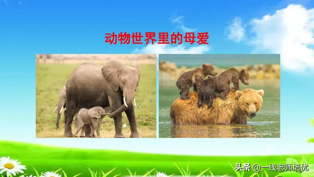 庞,怎么组词 庞的组词是什么呢?