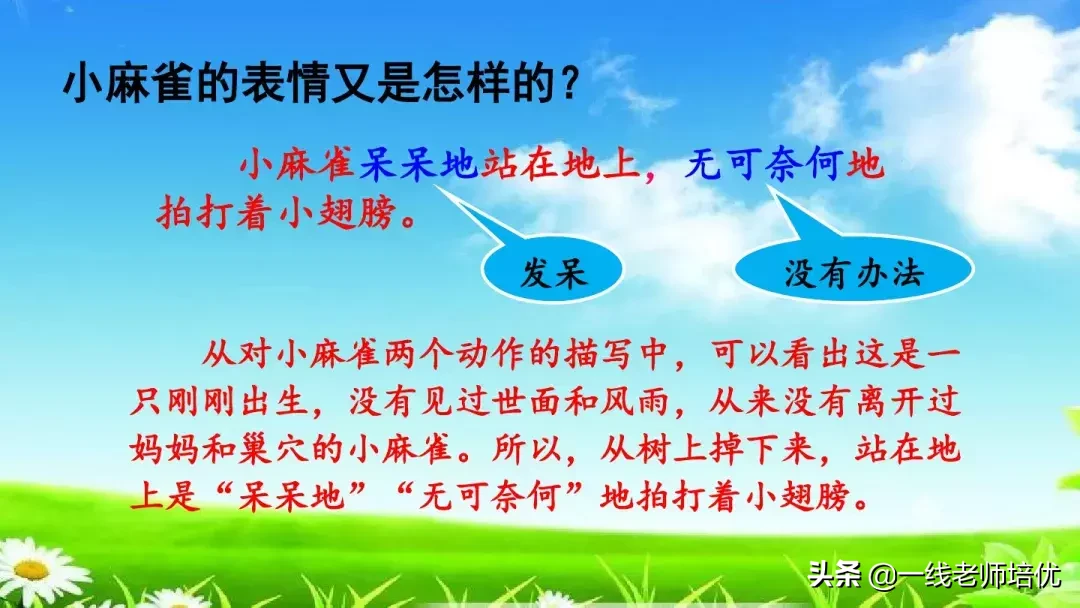 庞,怎么组词 庞的组词是什么呢?