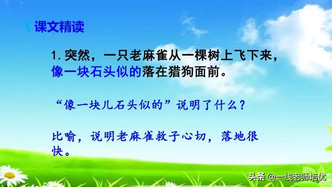 庞,怎么组词 庞的组词是什么呢?