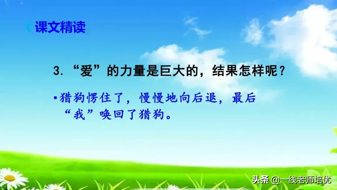 庞,怎么组词 庞的组词是什么呢?