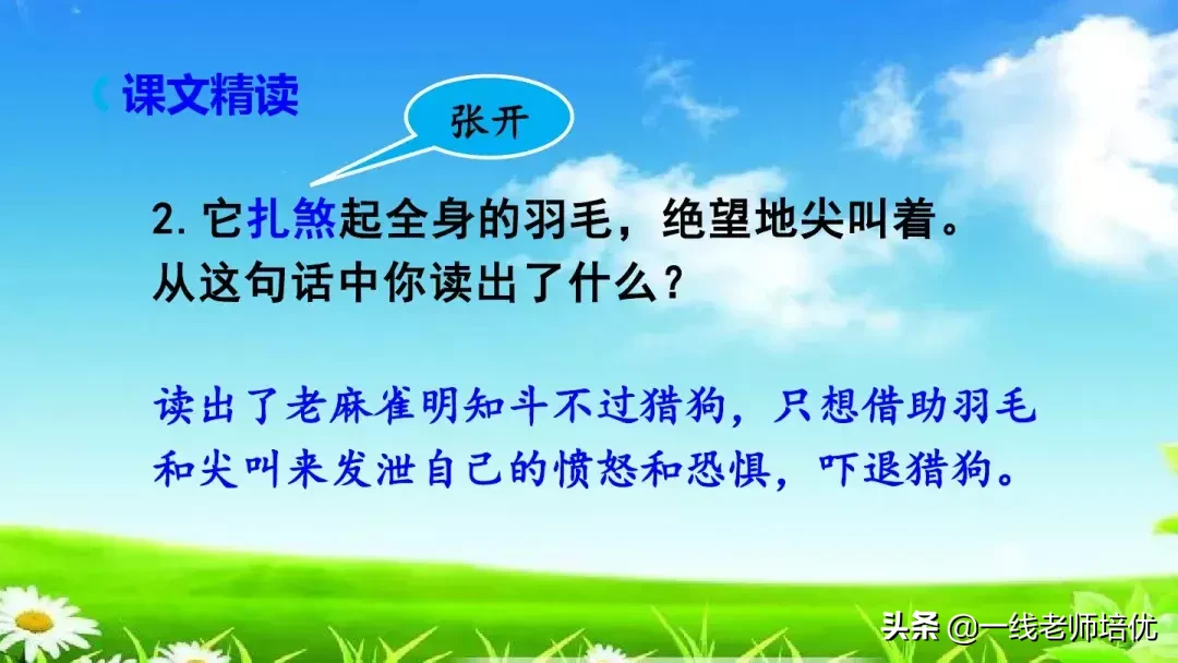 庞,怎么组词 庞的组词是什么呢?