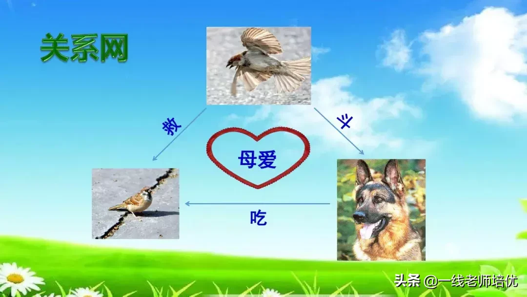 庞,怎么组词 庞的组词是什么呢?