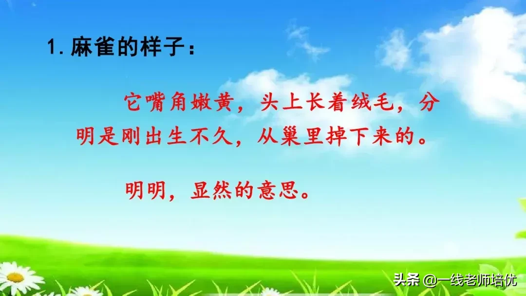 庞,怎么组词 庞的组词是什么呢?