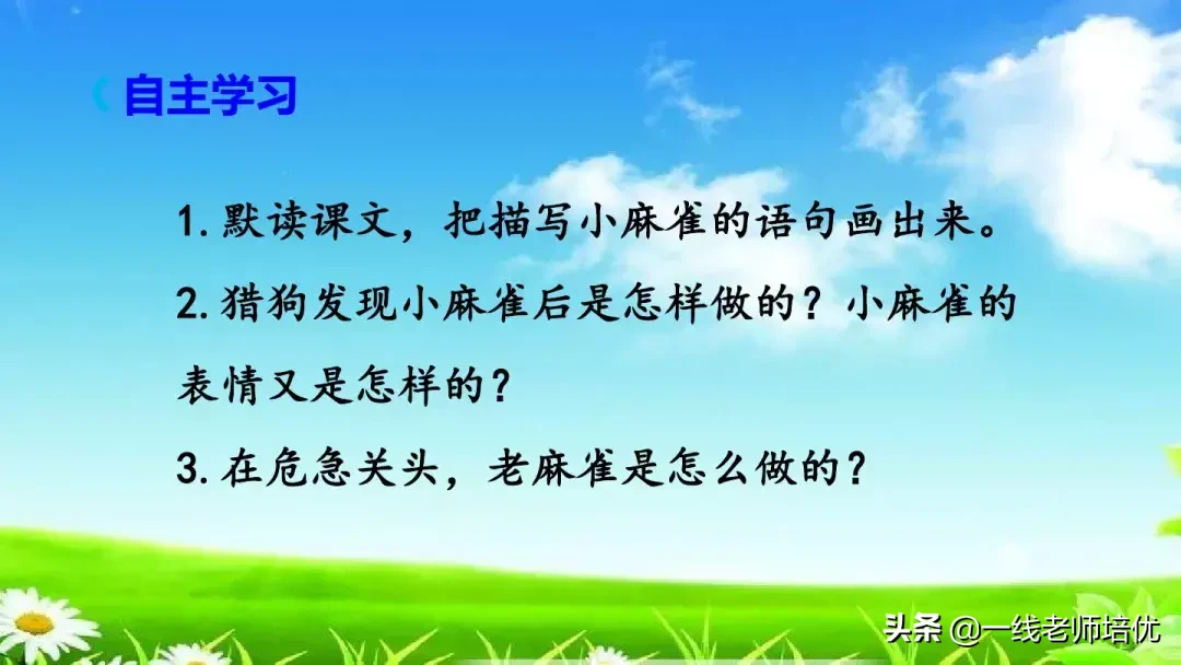 庞,怎么组词 庞的组词是什么呢?