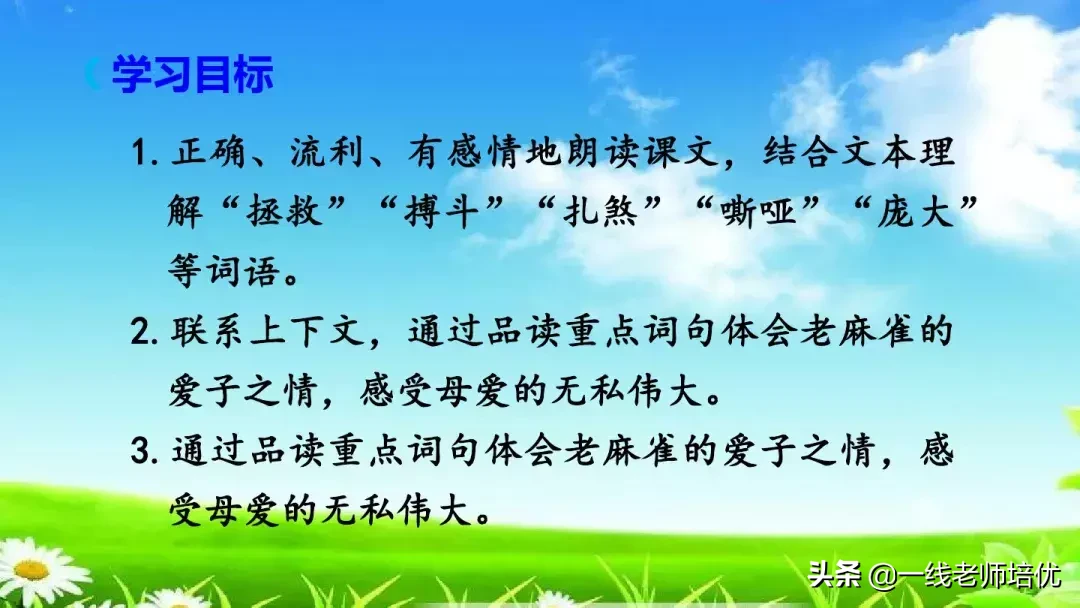 庞,怎么组词 庞的组词是什么呢?